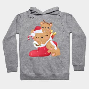 Mom and Baby Christmas Hoodie